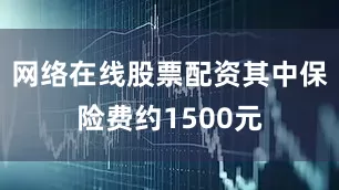 网络在线股票配资其中保险费约1500元