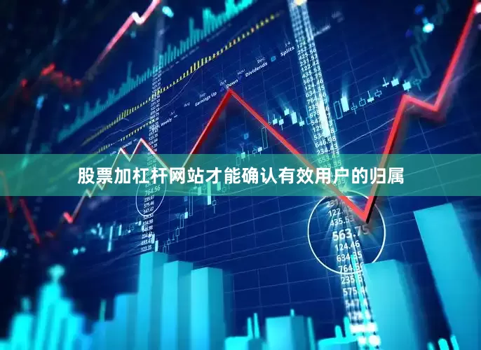 股票加杠杆网站才能确认有效用户的归属